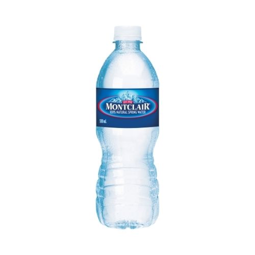Water Bottle (500 ml)